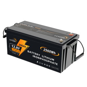 yN[|Kp50,998~zyGrade-AdrZ-5Nۏ؁zLVYUAN 12.8V/200AH _S`ECIobe[ 2.56KWH e 12V 200A BMS LiFePO4obe[ 񒼗ڑ\ LsOJ[ h