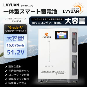 yN[|Kp509,999~z51.2V 314Ah 16,076kWh LiFePO4 _S`ECIobe[ ƒp~dr 4000-15000TCN ƒp\[[VXe ItObh LsO Ԓ \[[