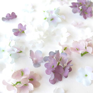 y10%OFFN[|zzz~jA[eBtBVt[ [֑Ή ANZT[p[c | nhCh Ntg    y t sAX CO   ԍ ޗ f 