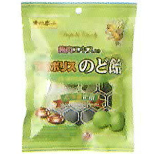 ~GLX v|X̂ǈ 80g@Tt[