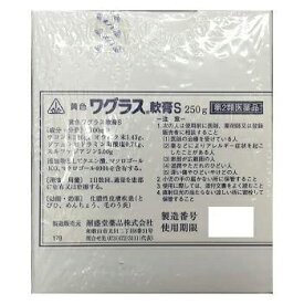 【第2類医薬品】黄色ワグラス軟膏S　250g【ホノミ漢方】【剤盛堂薬品】