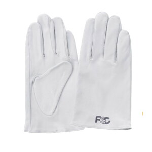 y10ogz F-801 ܃NXg^Cv