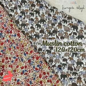 yzKonges Sloejd (RQXXCh)  I[KjbNRbg xr[^I Q ^IPbg LbY P[v C^I Tt@  ԕ 1pcs j̎q ̎q oY