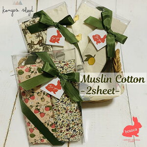 yMtgBOXzKonges Sloejd (RQXXCh) ݃Rbg HivL C^I xr[^I 2pcs j̎q ̎q jZbNX oYj a v[g Mtg{bNX b