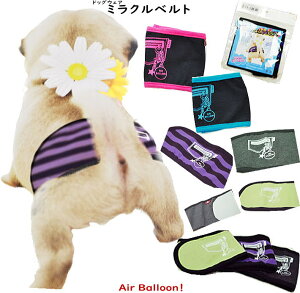 y[։z@}i[ACe@~NxgiSS`3Lj@Air Balloon(GAo[)