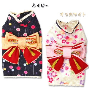 y[։zā@ S[WX߁mSELEMD-SEMD-Mn Air Balloon(GAo[)