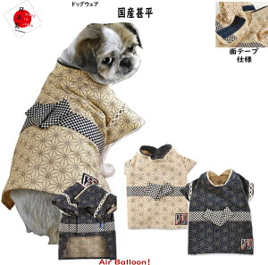 y[։zā@ YrmMD-Sn Air Balloon(GAo[)