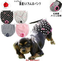 楽天市場】バルーン パンツ（犬用品｜ペット・ペットグッズ）の通販