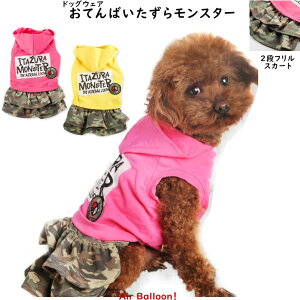 y[։ztH@ @Ă΂烂X^[(XSE2L) yhbOEFAzAir Balloon(GAo[)