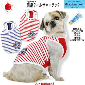 y[։zā@ @YN[T}[^N(XSESEMELE2LE3LEMD-SEMD-M)yhbOEFAzAir Balloon(GAo[)