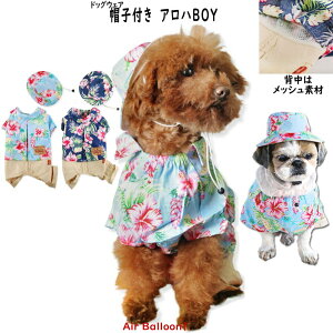 y[։ztďH@@Xqt@AnBOY(SEMELE2LE3LEMD-M)yhbOEFAzAir Balloon(GAo[)