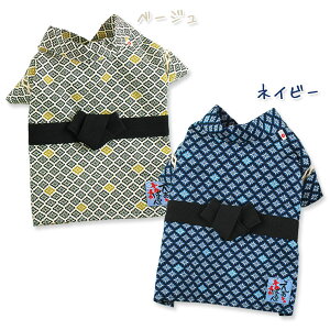 y[։zā@ YriԕHj(SEMELE2LEMD-M) Air Balloon(GAo[)