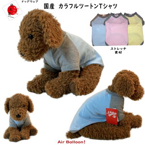 y[։ztďH~@@Y Jtc[gTVc(SEMELE2LE3L)@yy@zz