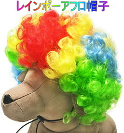 楽天市場 虹色 ウィッグ ドッグウェア 犬用品 ペット ペットグッズの通販