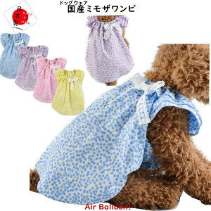 y[։ztďH@ Y ~Us(SEMELE2LEMD-M)Air Balloon(GAo[)y1z