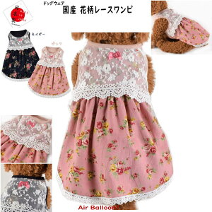 y[։ztďH@ Yԕ[Xs(SEMELE2LEMD-M)Air Balloon(GAo[)