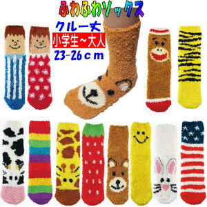 y[։zӂӂ\bNX@23-26cm@S12yyMt_Iz