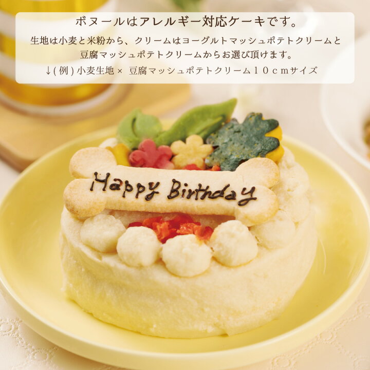 楽天市場 犬用 お祝いケーキ ボヌール 無添加 アレルギー対応 10cm 手作り犬ごはんm Dogstudio