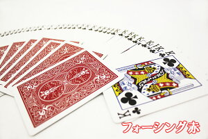 yiE}WbNz ygbNJ[hzBICYCLE FORCING DECKioCXN tH[VOfbN ԁj ygvzylR|XΉz