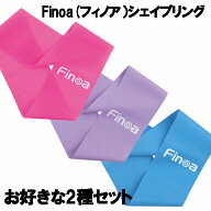 【お好きな強度2種セット】体幹トレーニング トレーニングチューブ チューブ ダイエット フィットネスチ…