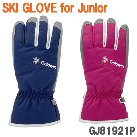 スキーグローブ スノーグローブ 手袋 グローブ キッズ ジュニア 子供 ジュニアスキーグローブ ジュニア手袋 スキー スノーボード スノボー スノボ 防寒 ゴールドウィン GJ81921P 送料無料（代引き発送はできません）