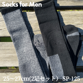 スキーソックス ソックス 靴下 メンズ ロングタイプ 防寒 遠赤加工 2足組スキーソックス 男性用 SP-125 送料無料（代引き発送はできません）