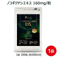 ノコギリヤシ 亜鉛 サプリ ノコギリヤシ亜鉛DX 1袋 100粒 約100日分 スカルプケア 男性 の 元気 に 深夜…