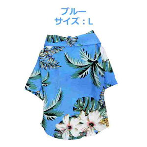 AnVc  4F TCY XS S M L XL XXL  y ėp ^  ̕ ybg nCAVc  OJ  ĕ hbO 킢  ڐn  ₩ 