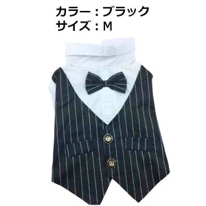  ^LV[h S2F S M L XL XXL  y ėp ^ ̕ ybg j  ĕ hbO 킢  RX`[ s Cxg X[c  U ڐn  