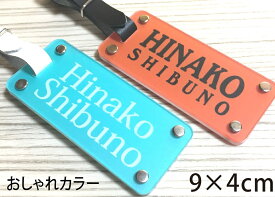 カラー名入れ ネームプレート おしゃれ カラー レディース 90×40mm ゴルフ ギフトボックス 記念品 プレゼント 卒業祝い 就職祝い 合格祝い 誕生日 記念品 昇格 入学 還暦 クリスマス 父の日 母の日 退官記念 退職 ギフトメッセージ きざみ屋