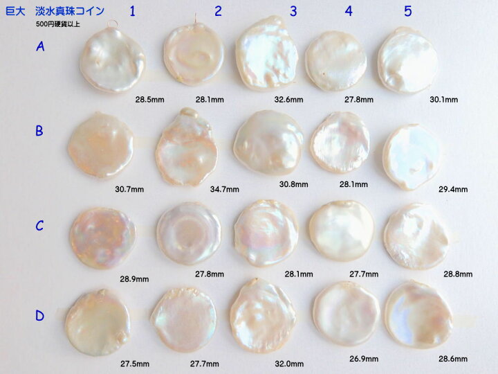 楽天市場】15点追加(E F G 段） 巨大淡水真珠 コイン シェイプ K10 