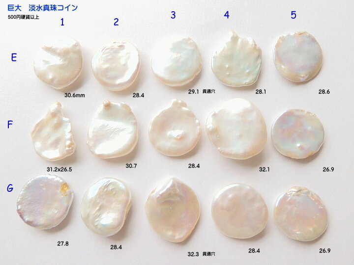 楽天市場】15点追加(E F G 段） 巨大淡水真珠 コイン シェイプ K10 