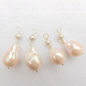 xr[ ICX^[p[ obN W^ O[Wۋ 10KGFsAX`[ yA