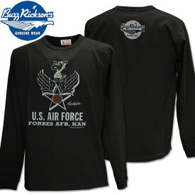 BUZZ RICKSON'S（バズリクソンズ）スヌーピーコラボ BR×PEANUTS SNOOPY L/S T-SHIRT『U.S. AIR FORCE』BR69275-119 Black