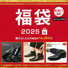 ルークストア 2025年 福袋 メンズ 3点入り お得セット 破格 激安 安い 人気 ビジネスシューズ 送料無料 令和 数量限定 レザー 天然牛革 就活対応 新生活応援 26.5cm ワンサイズ ストレートチップ 内羽根式 外羽根式 カジュアル フォーマル レースアップ ブーツ ローファー