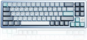 YUNZII AL71 JjJL[{[h 68% RpNg tA~CNCH KXPbg\ [Bluetooth/2.4G/USB-C O[hڑ] zbgXbvΉ NKRO RGBobNCg Win/MacΉ ZKF؍ς v[