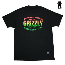 GRIZZLY Tシャツ GRIZZLY ORIGINAL GRADE TEE vigr20245 ブラック BLK 【 2020 グリズリー Tシャツ / メンズ Tシャツ /スケーター スケボー スケートボード/ B系 / メール便可 / あす楽 】