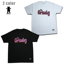 GRIZZLY Tシャツ Stage Dive SS TEE vigr21su76 ホワイト ブラック 白 黒【 2021 グリズリー Tシャツ / メンズ Tシャツ /スケーター スケボー スケートボード/ B系 / メール便可 / あす楽 】