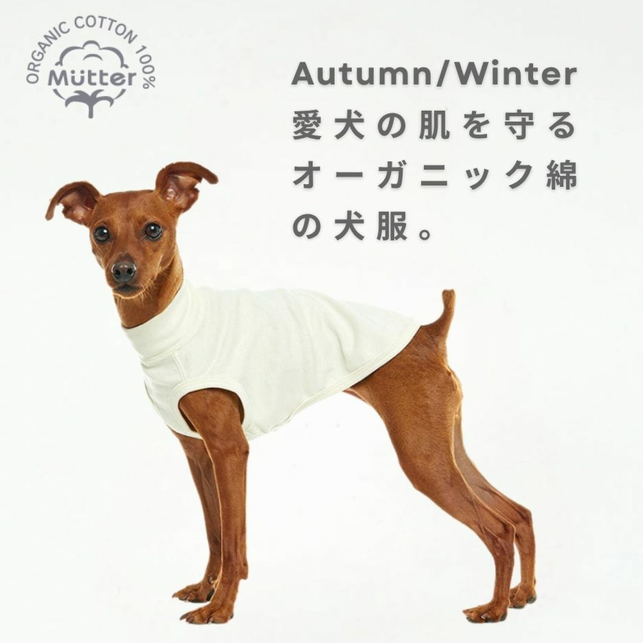 【日本製】犬の肌着・下着・ケアウェア。 ミニチュアピンシャータイプ 。肌の弱い愛犬を乾燥や静電気から守る、オーガニックコットン100％の犬服。
