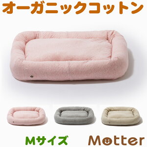 pxbh {^jJڌXNGAxbhMTCY /Β/|Y t ^ I[KjbNRbg̃ybgxbh