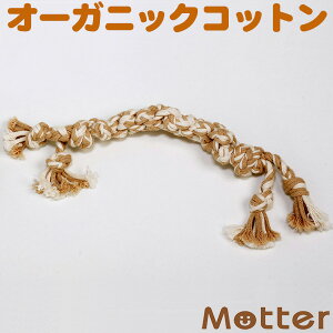  I[KjbN {[ MTCY I[KjbNRbg 100 dog toy bone Ck  xbgߋ ^   ʂ ق