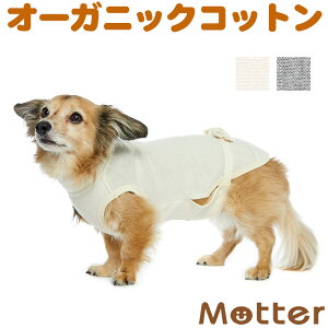 ̕yPAEFA() ~j`A_bNX^Cv m[X[uzỉEp㕞jI[KjbNRbg̃hbOEGA