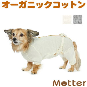 ̕yPAEFA() ~j`A_bNX^Cv tX[czỉEp㕞jI[KjbNRbg̃hbOEGA