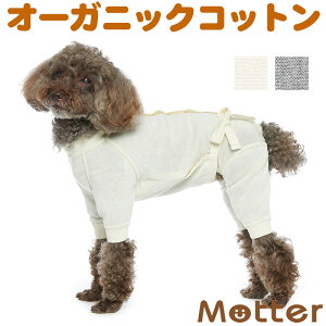 ̕yPAEFA() X^_[h^Cv tX[czi7-9E^̗mjI[KjbNRbg̃hbOEGA