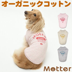 ̕ {^jJڌvgTee 1-9 ^ ^ ^̗m sN O[ O[ H~ I[KjbNRbg̃hbOEGA {