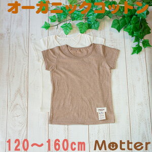  WjA ̎q  VnTVc Ci[Vc I[KjbNRbg  { w  100 Ci[ girl junior underwear inner shirt 120cm 130cm 140cm 150cm 160cm
