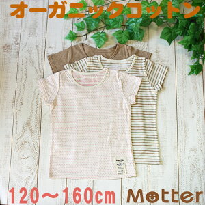  WjA ̎q  Iׂ12ޔTVc Ci[Vc I[KjbNRbg  { w  100 Ci[ girl junior underwear inner shirt 120cm 130cm 140cm 150cm 160cm