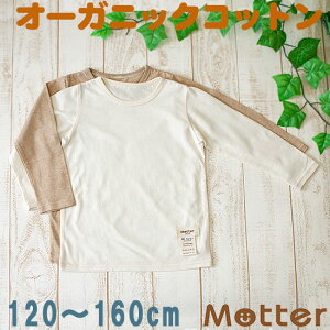  WjA j̎q  VnTVc Ci[Vc I[KjbNRbg  { w j 100 Ci[ boy junior underwear inner shirt 120cm 130cm 140cm 150cm 160cm