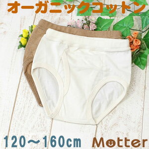 u[t WjA j̎q Vnu[tpc I[KjbNRbg pc   { q j 100 w Ci[ boy junior brief pants 120cm 130cm 140cm 150cm