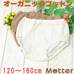 V[c WjA ̎q VnV[c ^CvA I[KjbNRbg pc   { q  100 w Ci[ girl junior shorts 120cm 130cm 140cm 150cm 160cm